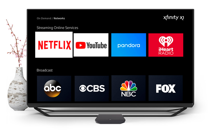 Channels displayed on TV in front of vase