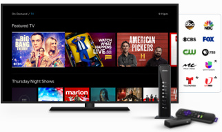 TV and Roku