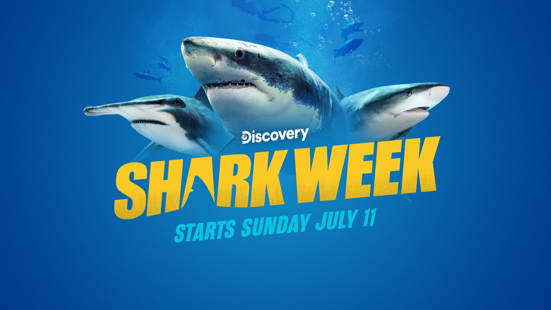 Discovery Shark Week 2021 Logo