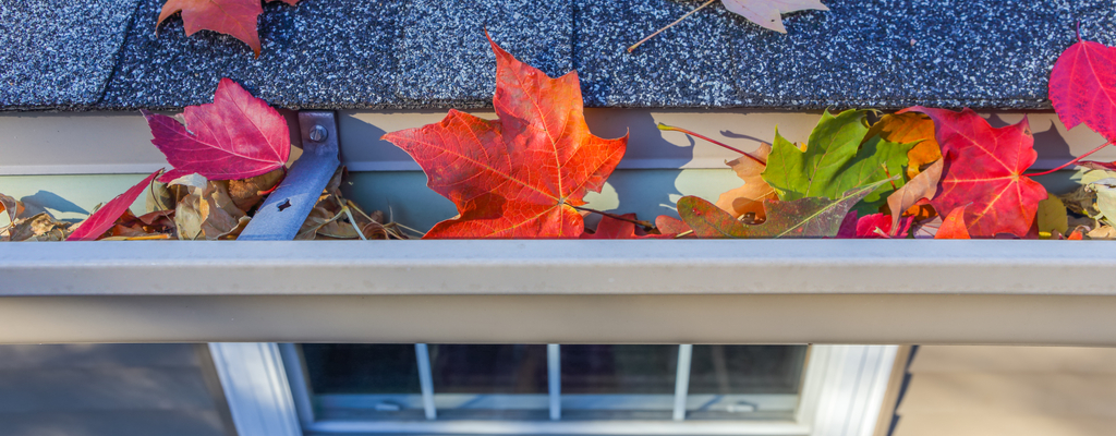 Preparing for Fall with Your Smart Home