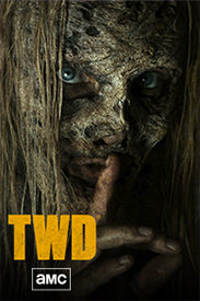 TWD en AMC