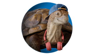 Slowsky