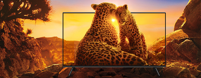 "Our Planet" en Netflix