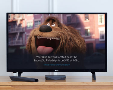 TV con imagen de perro