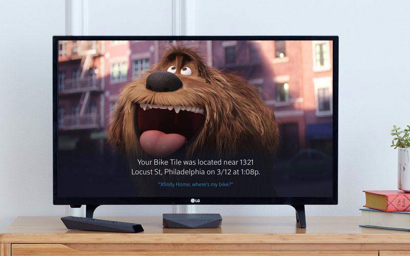 TV con imagen de perro