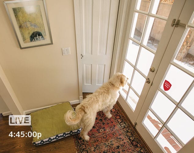 Home 24/7 Video Surveillance and Recording XFINITY