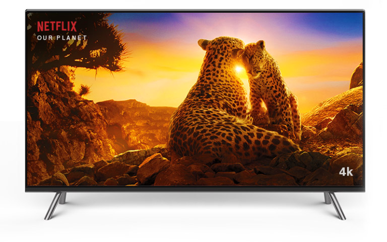 Televisor mostrando dos guepardos en Netflix